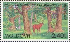 Colnect-191-764-Nature-Reserve--quot-Herrschers-Forest-quot--Red-Deer-Cervus-elaphus.jpg