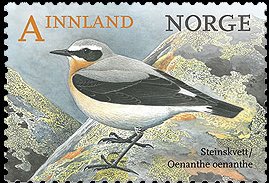 Colnect-3120-057-Northern-Wheatear-Oenanthe-oenanthe.jpg
