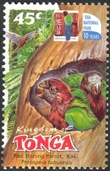 Colnect-2373-434-Red-Shining-Parrot-or-Koki.jpg