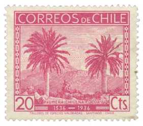 Timb_Chile.jpg