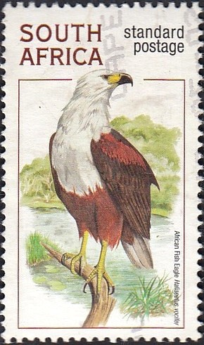 Colnect-3372-404-African-Fish-Eagle-Haliaeetus-vocifer.jpg