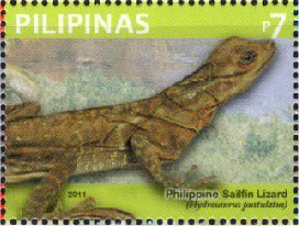 Colnect-2852-661-Philippine-Sailfin-Lizard-Hydrosaurus-pustulatus.jpg