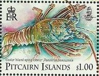 Colnect-4012-983-Easter-Island-spiny-lobster-Panulirus-pascuensis.jpg