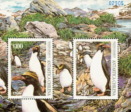 Colnect-4037-134-Macaroni-Penguin.jpg
