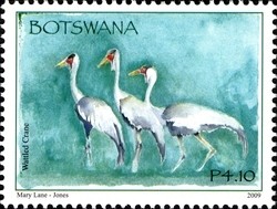 Colnect-962-113-Wattled-Crane-Bugeranus-carunculatus.jpg
