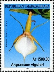 Colnect-1458-401-Angraecum-viguieri.jpg