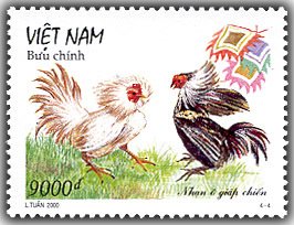 Colnect-1659-552-Face-To-Face-FightingRooster-Gallus-gallus-domesticus.jpg