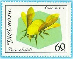Colnect-1160-354-Carpenter-Bee-Xylocopa-sp.jpg