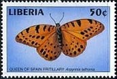 Colnect-2501-434-Queen-of-Spain-Fritillary-Issoria-lathonia.jpg