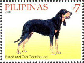 Colnect-2854-051-Black-and-Tan-Coonhound-Canis-lupus-familiaris.jpg