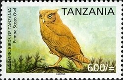 Colnect-1690-913-Pemba-Scops-owl-Otus-pembaensis.jpg