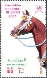 Colnect-1541-158-Arabian-Horse-Equus-ferus-caballus.jpg