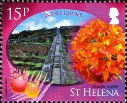 Colnect-1705-708-Crucifix-Orchid-and-Jacobs-Ladder.jpg