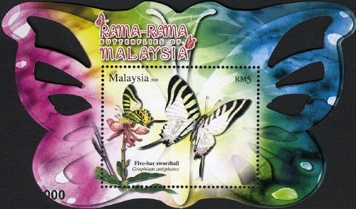 Colnect-4459-513-Five-bar-Swordtail-Graphium-antiphates.jpg