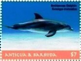 Colnect-6436-363-Bottlenpse-dolphin.jpg