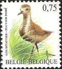 Colnect-567-437-Golden-Plover-Pluvialis-apricaria.jpg