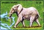 Colnect-3654-404-Loxodonta-africana.jpg