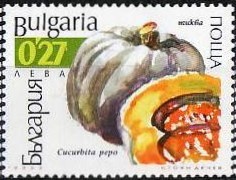Colnect-1823-878-Pumpkin-Cucurbita-pepo.jpg