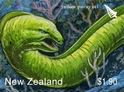 Colnect-1059-806-Yellow-Moray-Gymnothorax-prasinus.jpg