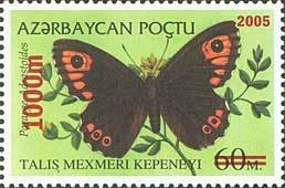 Colnect-196-229-Pararge-adrastoides.jpg