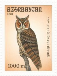 Colnect-1072-908-Long-eared-Owl-nbsp-Asio-otus.jpg