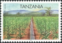 Colnect-1690-233-Irrigation-of-maize.jpg