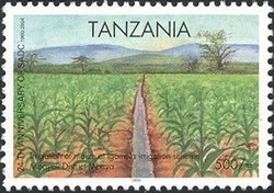 Colnect-1690-233-Irrigation-of-maize.jpg