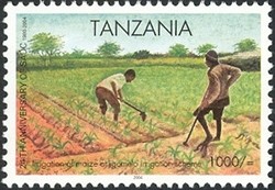 Colnect-1690-236-Irrigation-of-maize.jpg