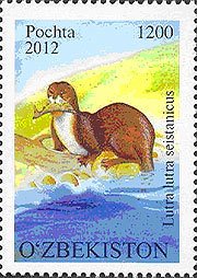 Colnect-1249-630-Eurasian-Otter-Lutra-lutra-ssp-seistanicus.jpg