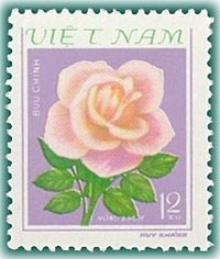 Colnect-1625-808-Single-pink-rose.jpg