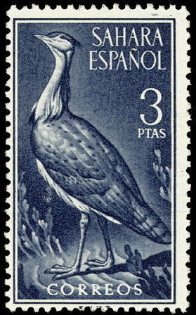 Colnect-1396-712-Houbara-Bustard-Chlamydotis-undulata.jpg