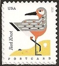 Colnect-2729-821-Coastal-Birds-Red-Knot.jpg