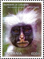 Colnect-1696-258-Zansibar-Red-Colobus-Piliocolobus-kirkii-Jozani-Forest.jpg