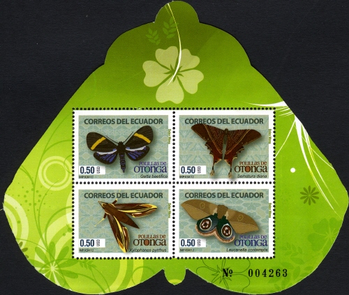 EC037MS.12.jpg