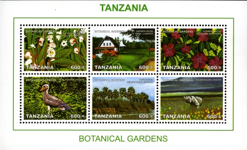 TZ054MS.08.jpg