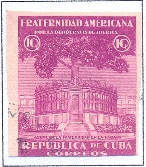 Colnect-2504-761-Fraternity-tree-Havana.jpg