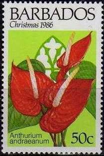 Colnect-1109-956-Anthurium-andraeanum.jpg