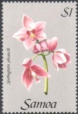 Colnect-2535-985-Spathoglottis-plicata.jpg