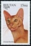 Colnect-3384-701-Oriental-Shorthair-Felis-silvestris-catus.jpg