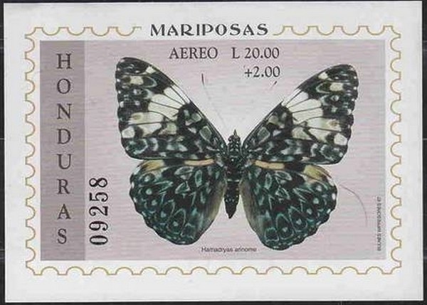 Colnect-1552-218-Cracker-Butterfly-Hamadryas-arinome.jpg