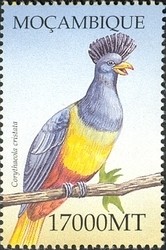 Colnect-1486-304-Great-Blue-Turaco-Corythaeola-cristata.jpg