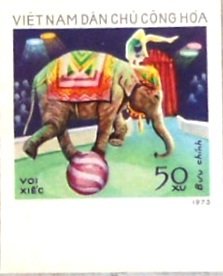 Colnect-813-262-Asian-Elephant-Elephas-maximus-at-Circus.jpg