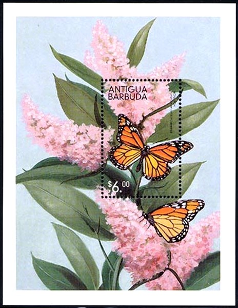Colnect-2251-881-Monarch-Butterfly-Danaus-plexippus.jpg