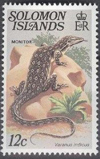 Mangrove-Monitor-Varanus-indicus.jpg