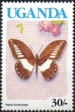Colnect-1714-117-White-banded-Swallowtail-Papilio-echerioides.jpg