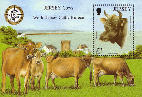 Colnect-706-305-Jersey-Cow-Bos-primigenius-taurus.jpg