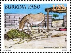 Colnect-1428-054-Donkey-Equus-asinus-asinus.jpg