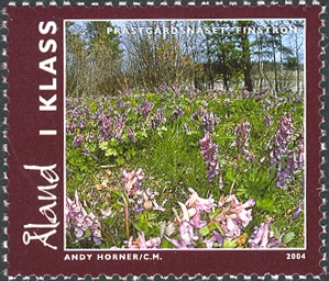 AX013.04.jpg
