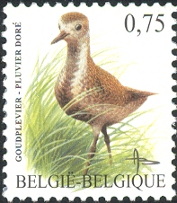BE044.04.jpg