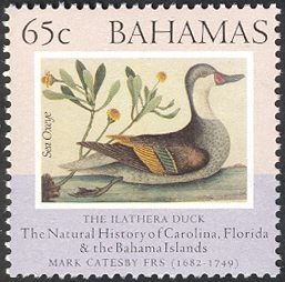 BS023.02.jpg
